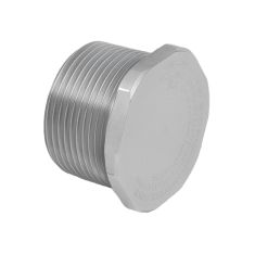 End plug AISI 316 male G2''